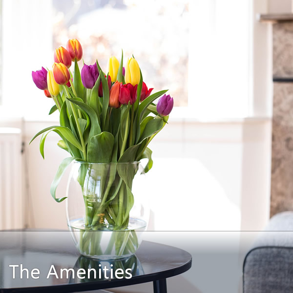 Features & Amenities